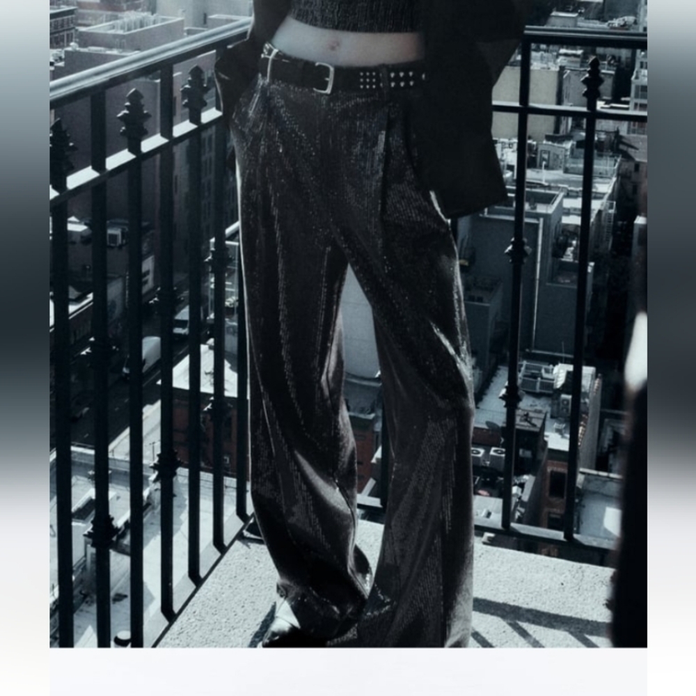 Zara  Sequin Pleated Formal Pants